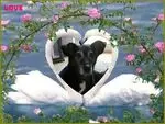 Condolence image of Guten Morgen❤️❤️❤️