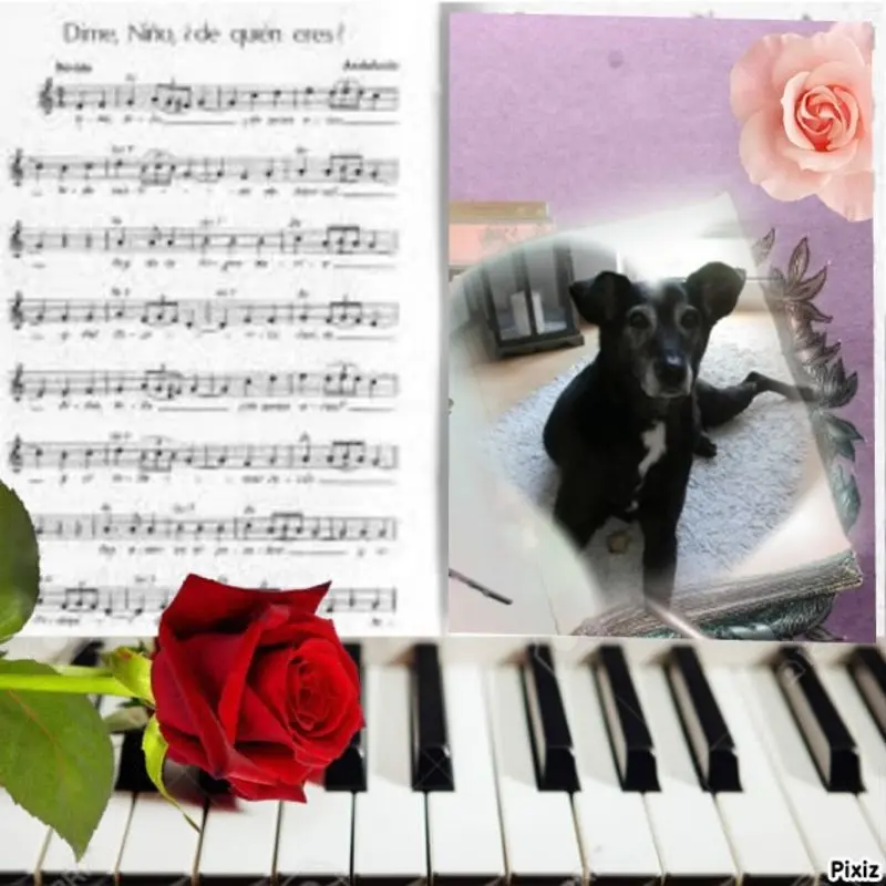 Condolence image of Guten Morgen❤️❤️❤️