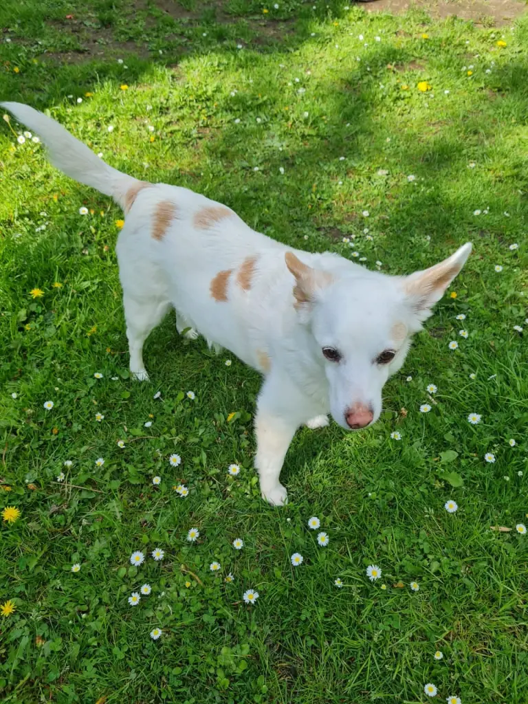 Image from Blinki