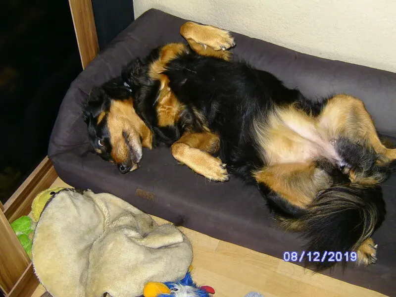 Condolence image of Angelika