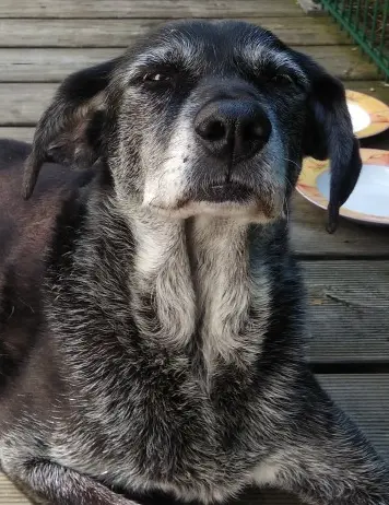 Condolence image of Holger