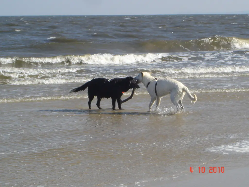 Image from Arthur