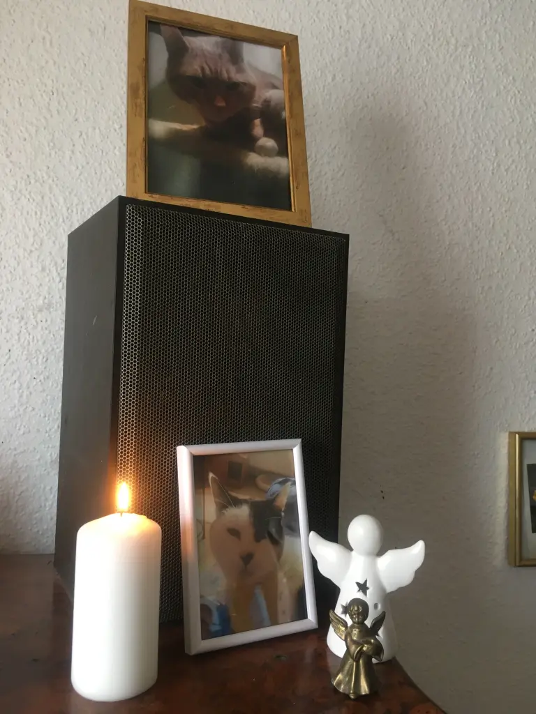 Condolence image of Mona