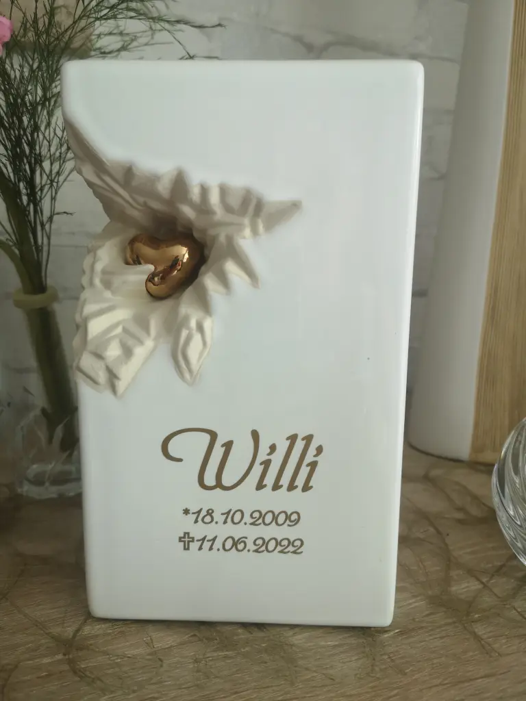 Image from Willi