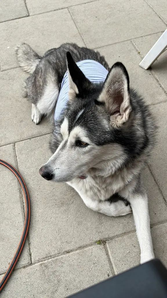 Image from Stormy