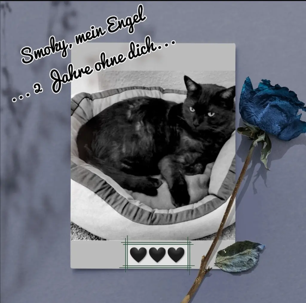 Condolence image of Melanie 