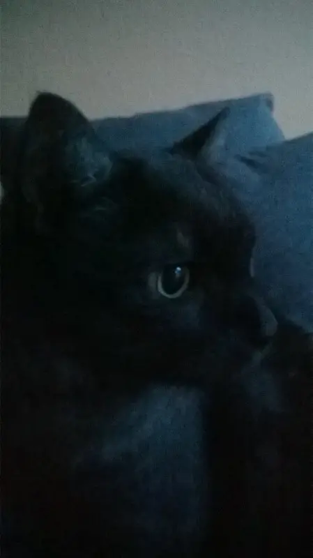 Condolence image of Melanie 