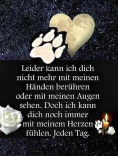 Condolence image of Andrea und Steven