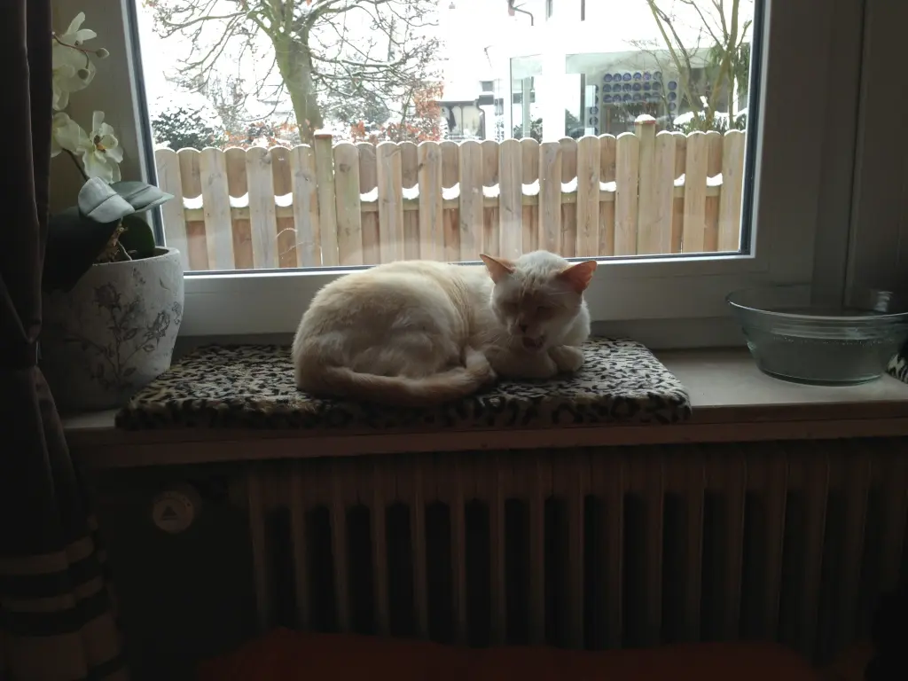 Image from Bety