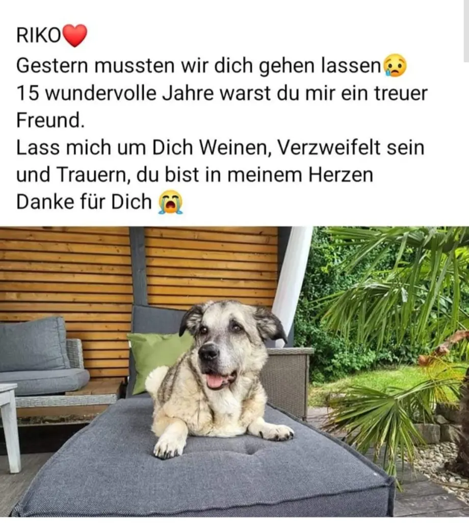 Image from Riko