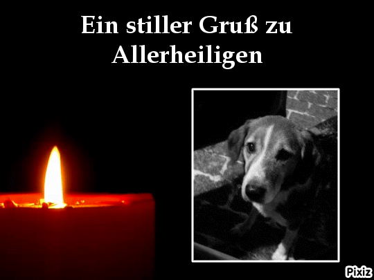 Condolence image of Timmys Mutti Tanja an Sternenprinz Ricky ❤
