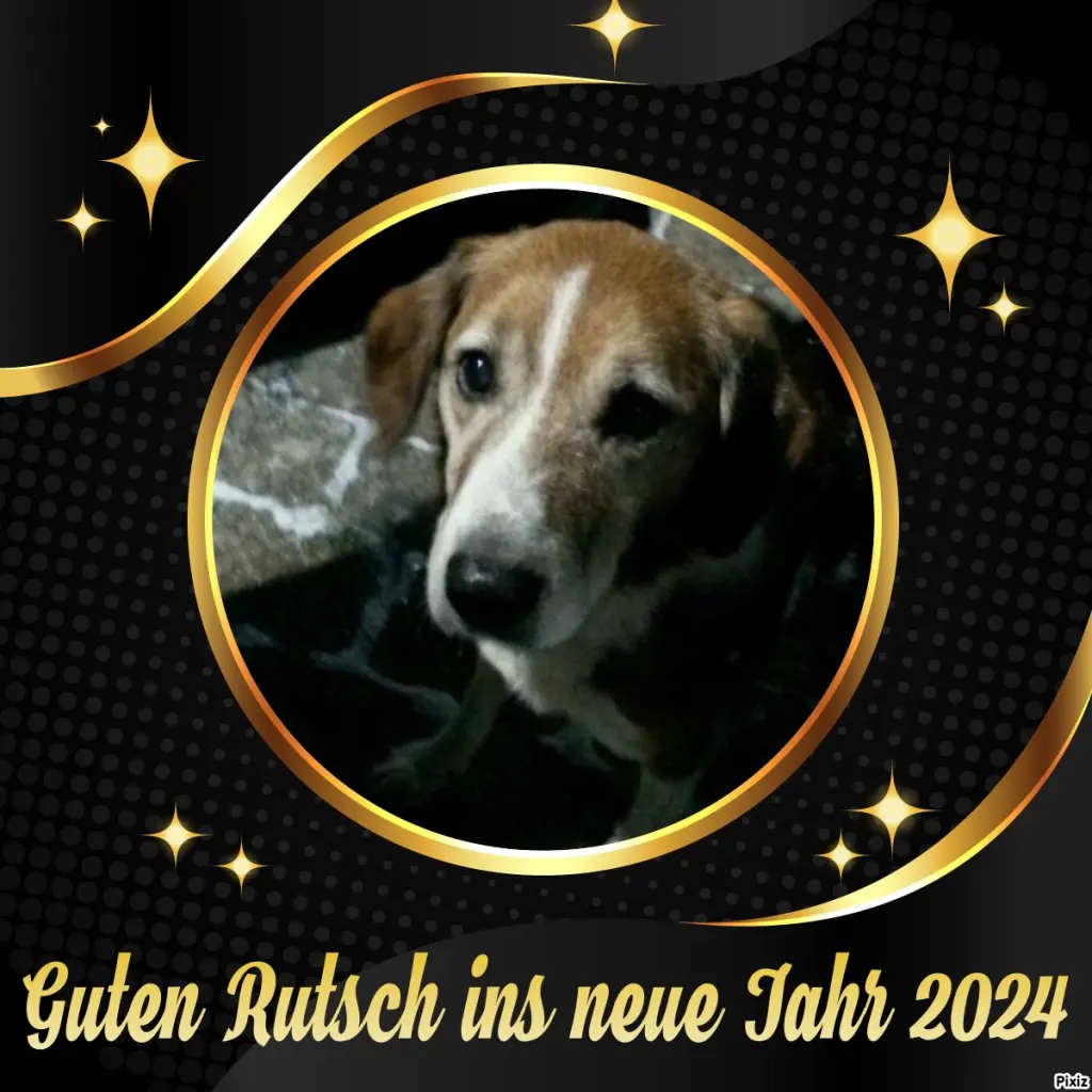 Condolence image of Tanja mit Timmy im Herzen