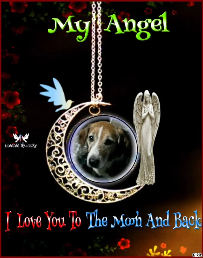 Condolence image of Timmys Mutti Tanja an Sternenprinz Ricky ❤