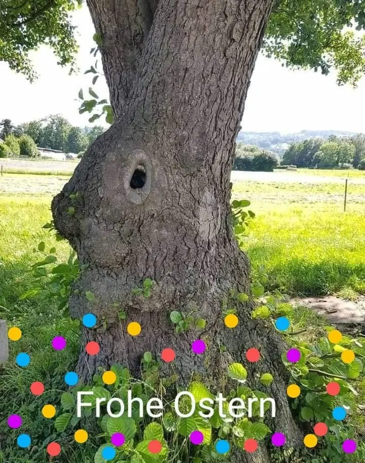 Condolence image of ❤️ Frohe Ostern ❤️ wünschen Pauline, Leonie und Daniela