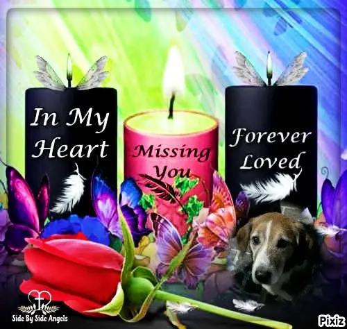 Condolence image of Timmys Mutti Tanja an Sternenprinz Ricky ❤