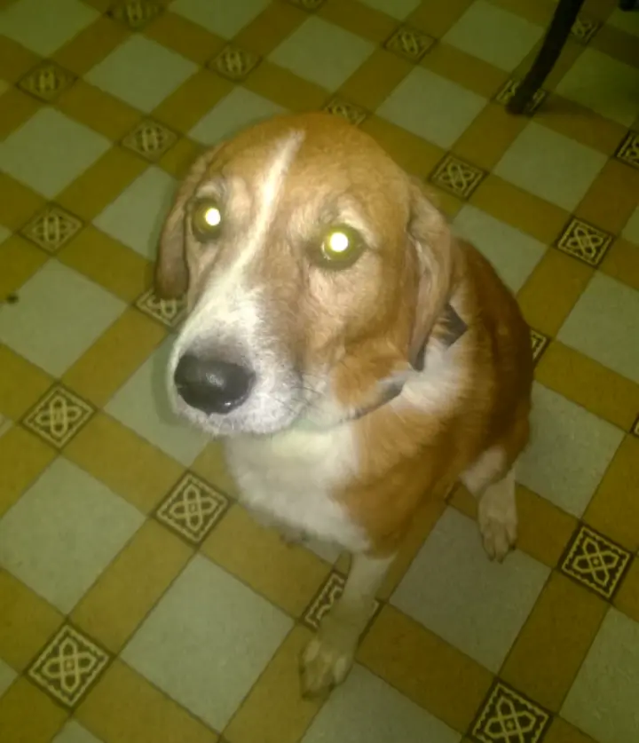 Condolence image of Marco