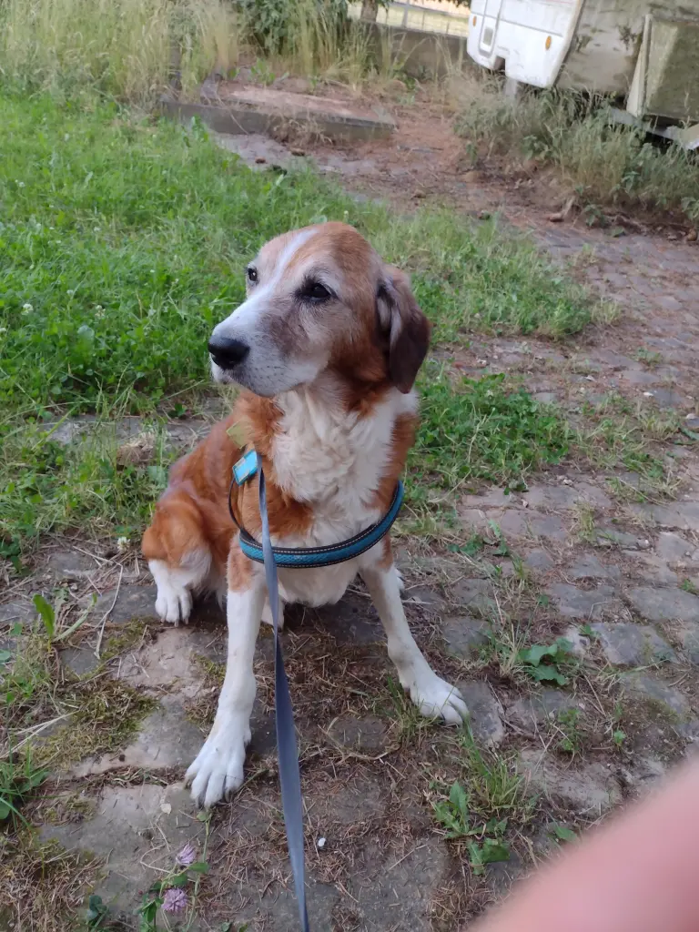 Condolence image of Marco