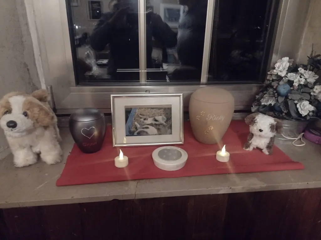 Condolence image of Marco
