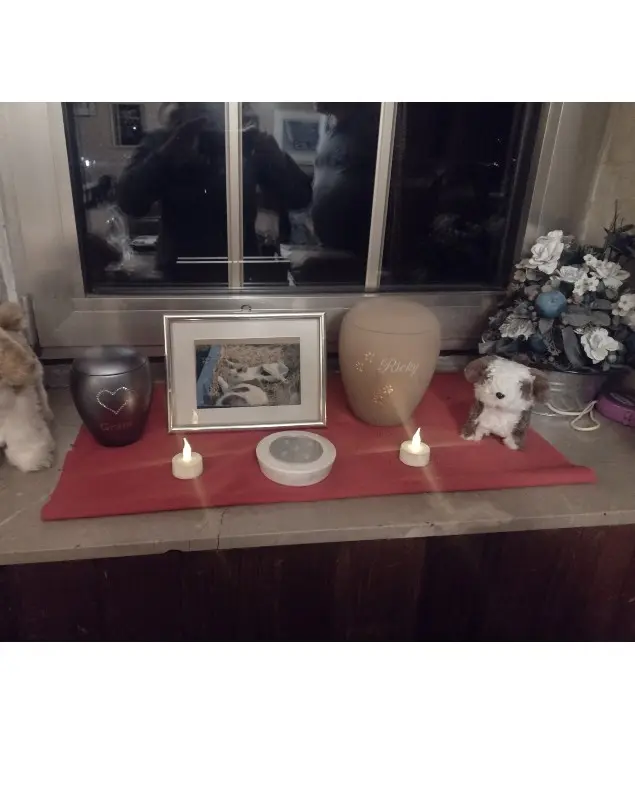 Condolence image of Marco