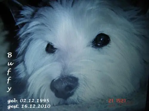 Image from Buffy