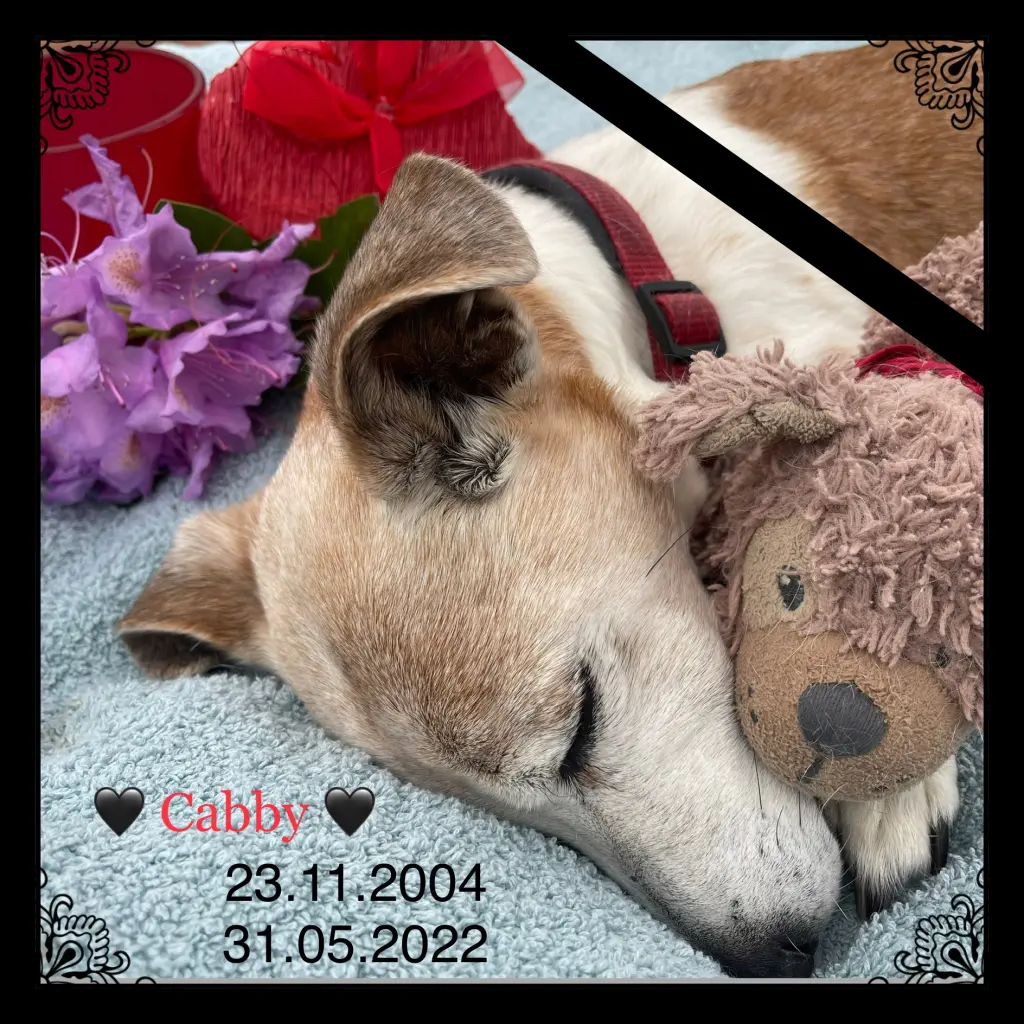 Image from Cabby