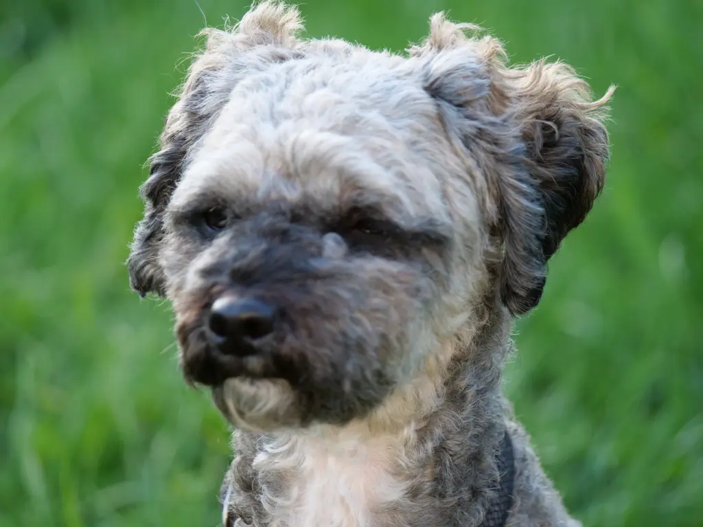 Condolence image of Sina