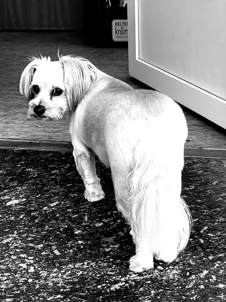 Condolence image of Jutta