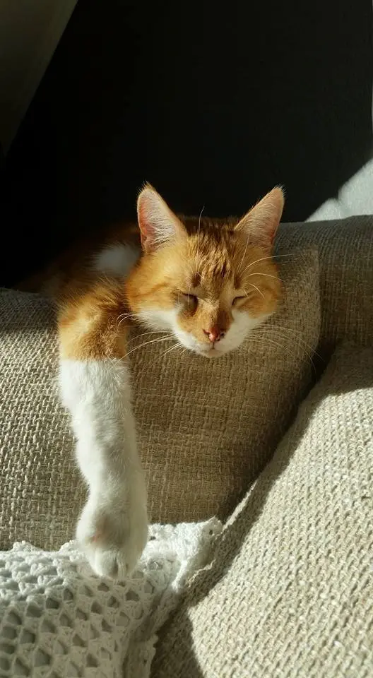 Image from Sunny (Julchen)