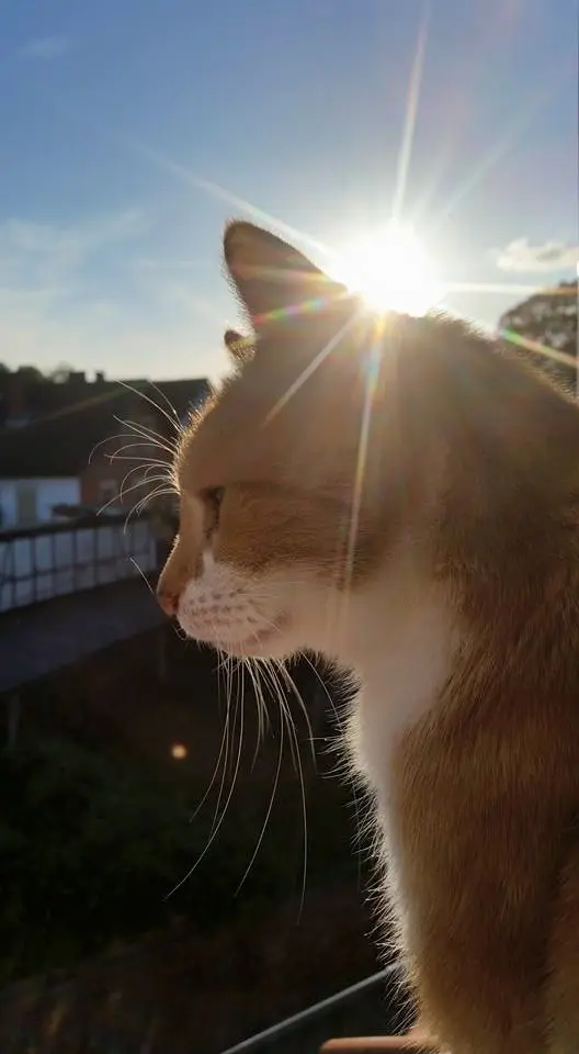 Image from Sunny (Julchen)