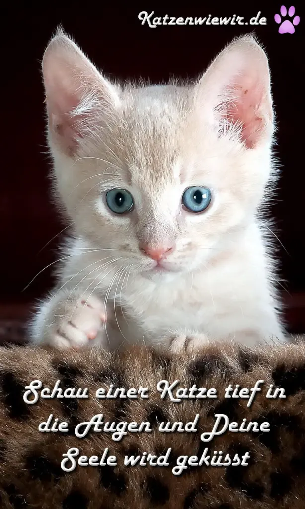 Condolence image of Unbekannt