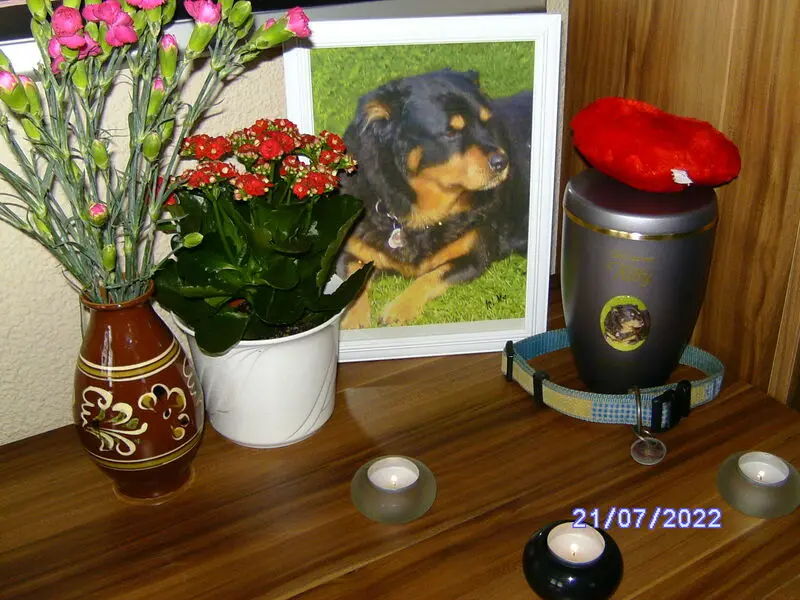 Andachtsbild von Angelika