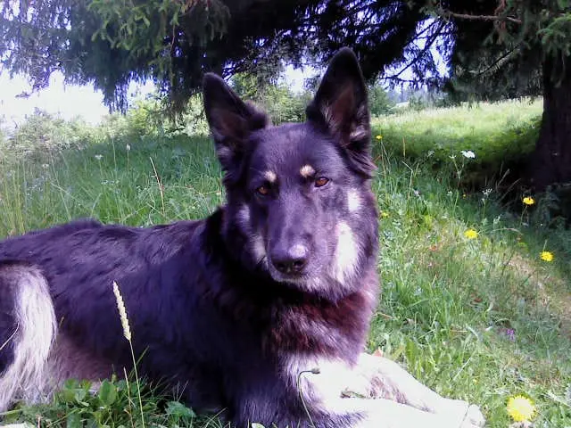 Bild von Bella