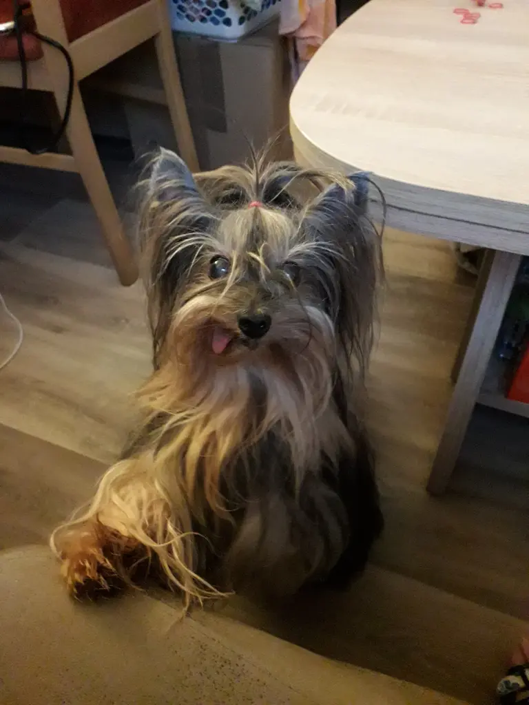 Image from Xanja
