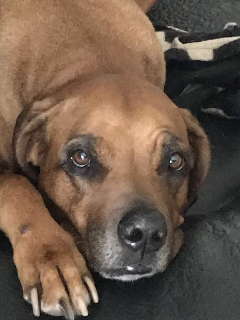 Condolence image of Gisela