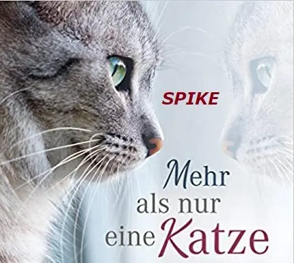 Image from Spike