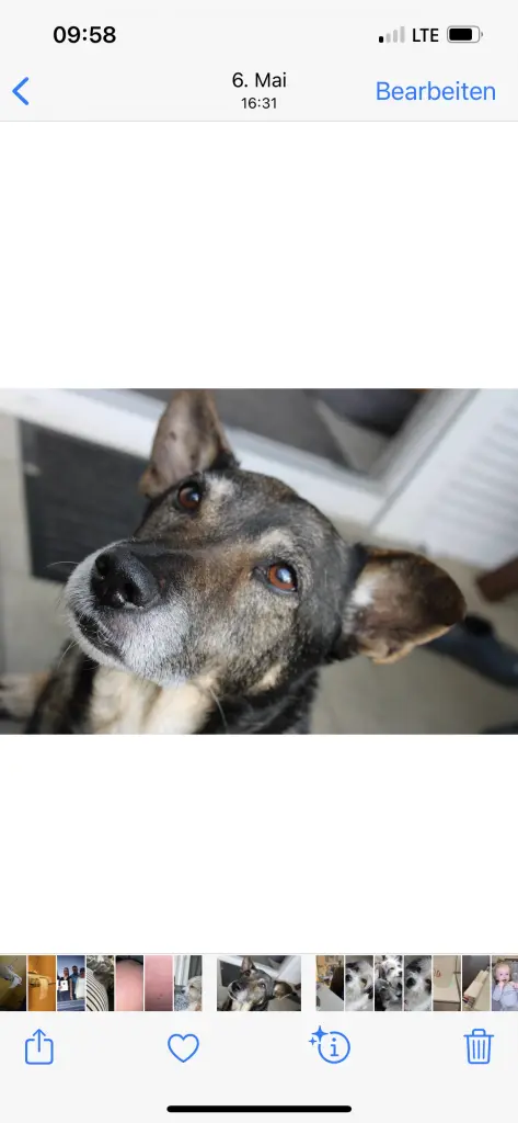 Image from Balou