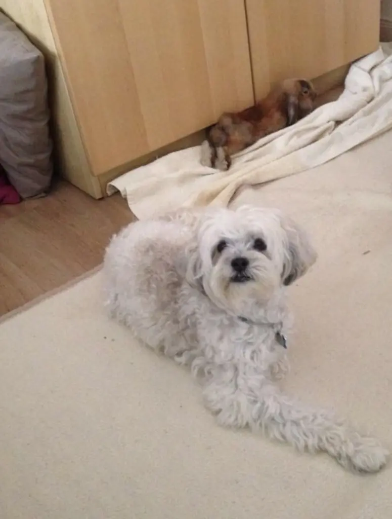 Image from Max