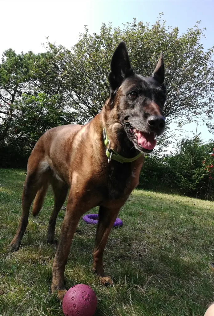 Image from Lisa