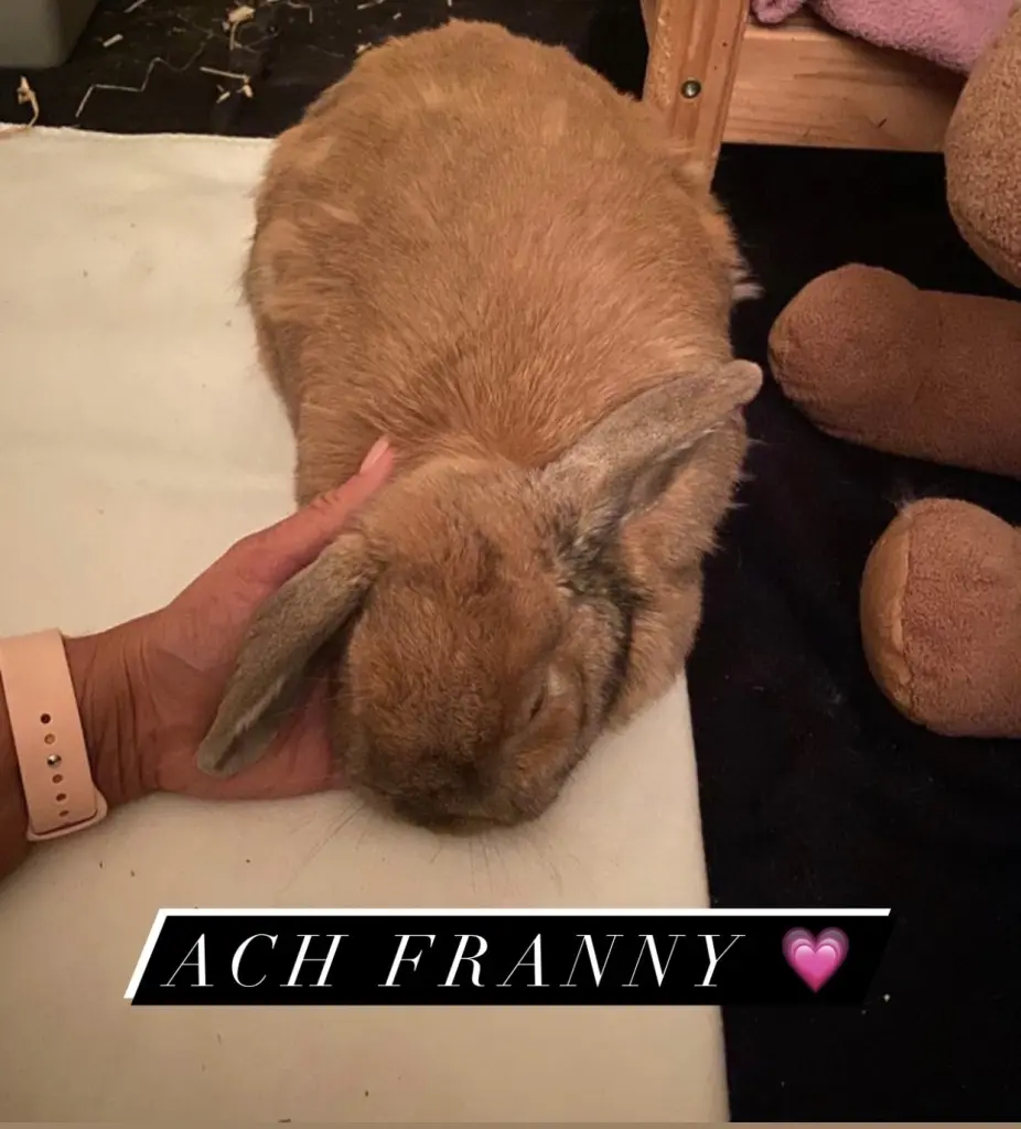 Image from Franzi