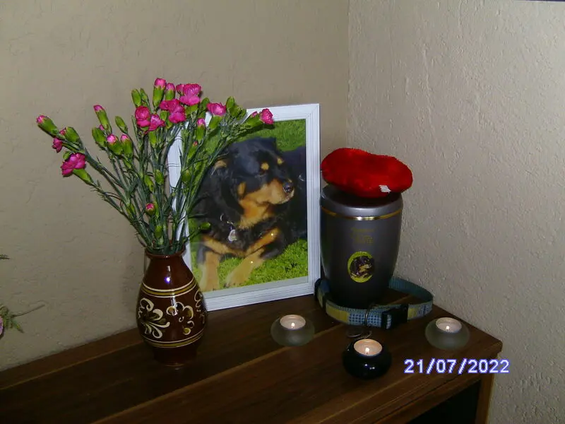 Condolence image of Angelika