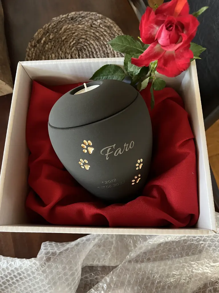 Image from Faro
