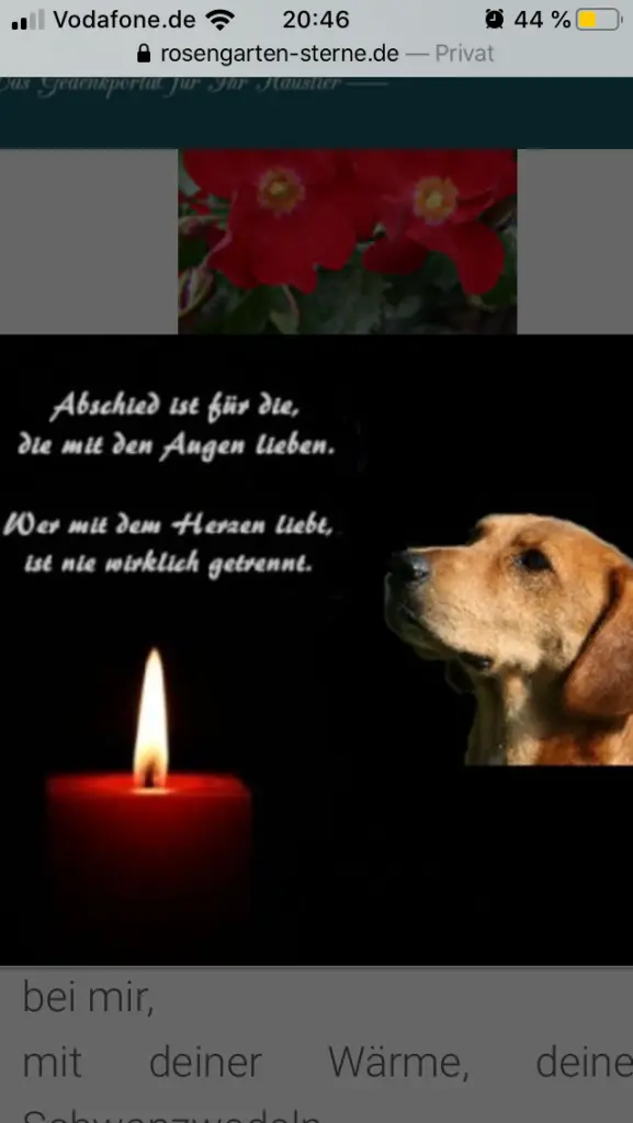 Condolence image of Patricia  Assali 