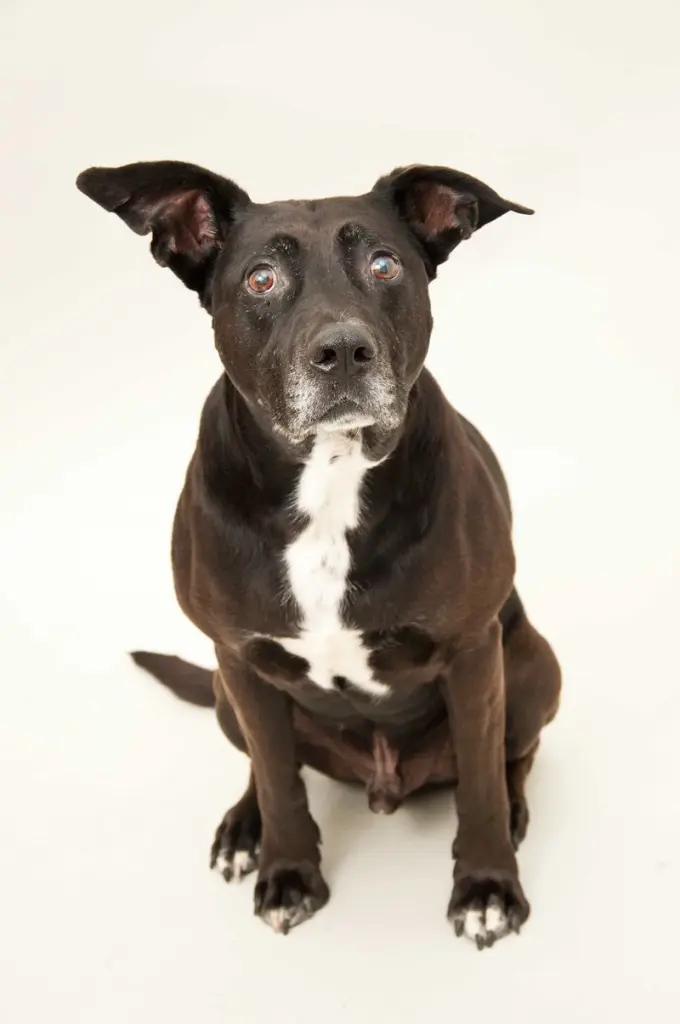 Condolence image of Mandy Buchholz