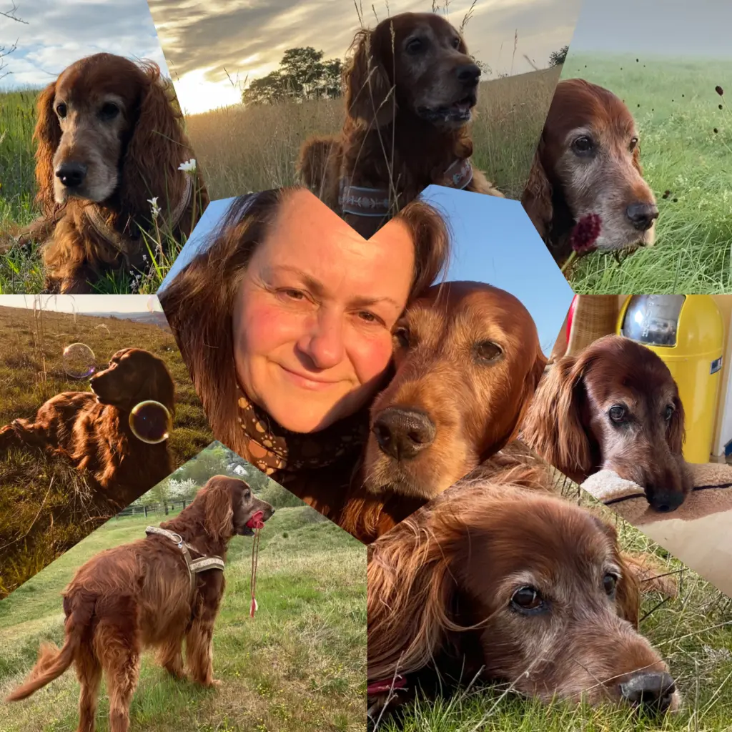 Image from Tara