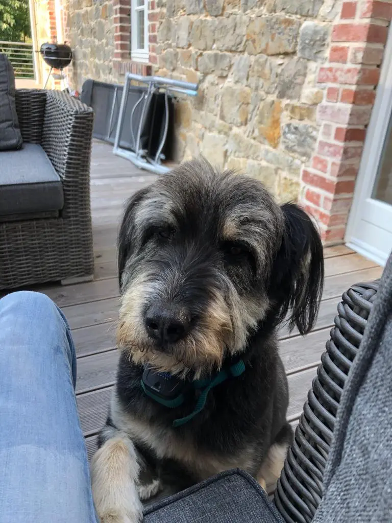 Image from Teddy