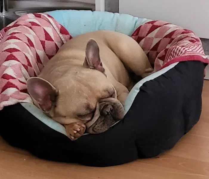 Image from Olaf