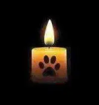 Condolence image of Nina und Charly