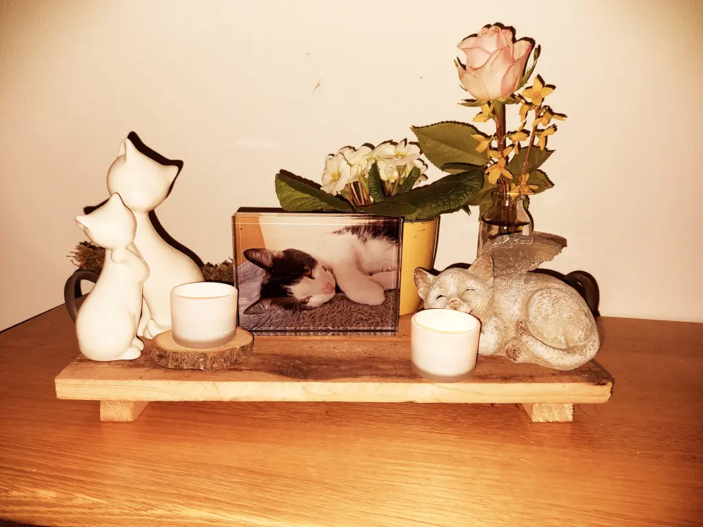 Condolence image of Karin mit Moritz im Herzen