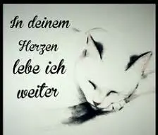 Condolence image of Annemarie und Elke mit Snoopy im Herzen gest.04.01.2022