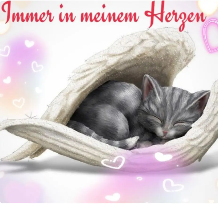 Condolence image of Karin mit Moritz im Herzen